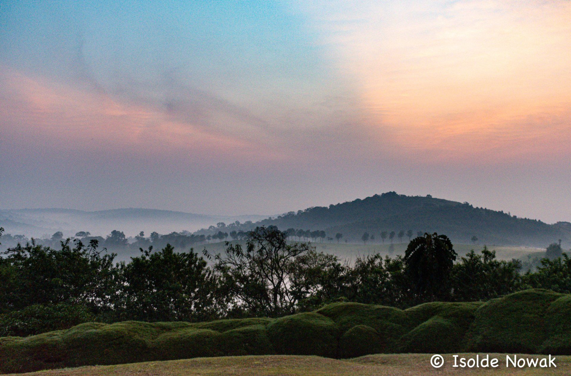 Kibale Forest, Chimpanzee Forest Lodge, Rainforest, Uganda, Gorilla, Birding, Travel, Uganda Safaris, Mountain Gorillas, Gorilla Tracking, Gorilla Trekking, Uganda Tours, Uganda Tour Operators, Uganda Roundtrip, Uganda Reise, Uganda Trips, Uganda travel, Uganda Grouptrips, Uganda Gruppenreise