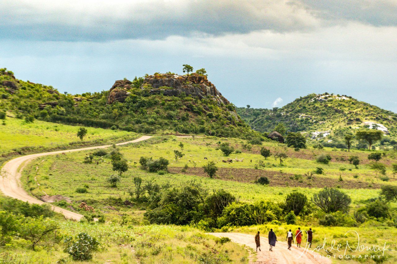 Northern Uganda, Kidepo, Uganda, Gorilla, Birding, Travel, Uganda Safaris, Mountain Gorillas, Gorilla Tracking, Gorilla Trekking, Uganda Tours, Uganda Tour Operators, Uganda Roundtrip, Uganda Reise, Uganda Trips, Uganda travel, Uganda Grouptrips, Uganda Gruppenreise, nature responsible, Kidepo, Mburo, Murchison, Bwindi, Kibale