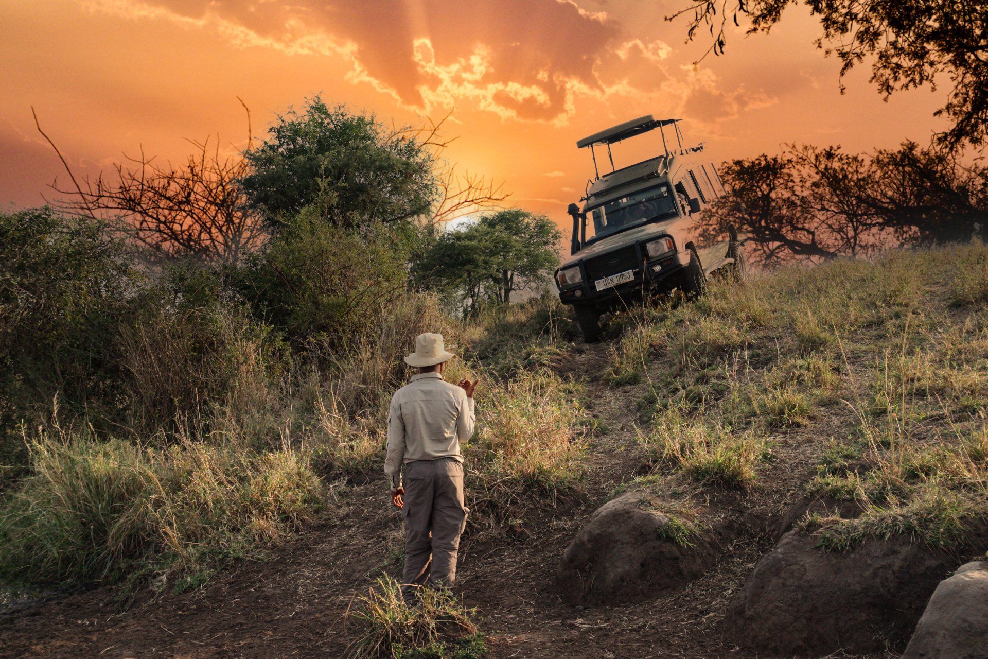 Uganda, Gorilla, Birding, Travel, Uganda Safaris, Mountain Gorillas, Gorilla Tracking, Gorilla Trekking, Uganda Tours, Uganda Tour Operators, Uganda Roundtrip, Uganda Reise, Uganda Trips, Uganda travel, Uganda Grouptrips, Uganda Gruppenreise, nature responsible, Kidepo, Mburo, Murchison, Bwindi, Kibale