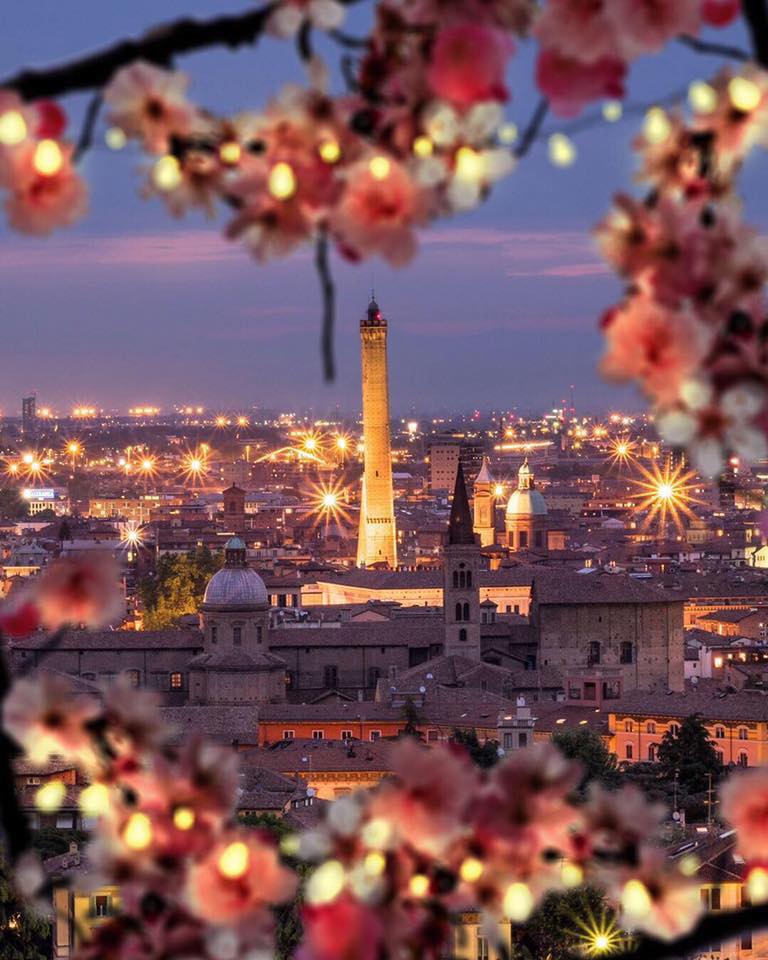 Foto panoramica della Torre degli Asinelli di Bologna