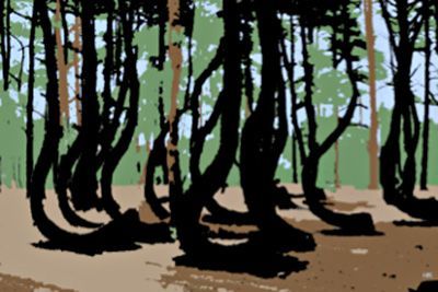 Foto: Heinz Kneile Krzywy las crooked forest, 2010, Vierfarbenserigrafie