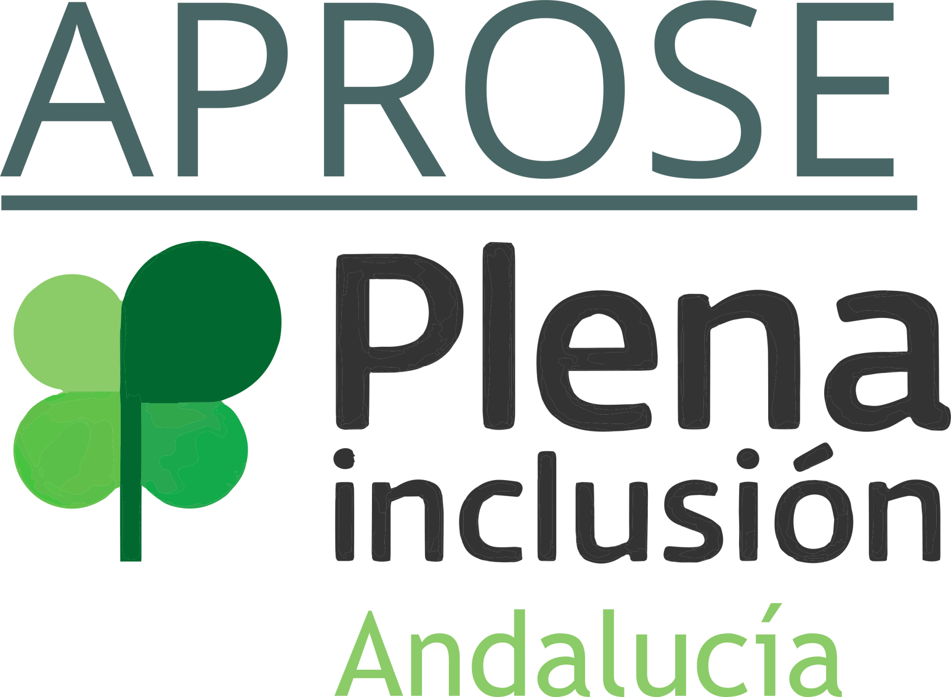 AGRUPACIÓN PROVINCIAL SEVILLANA DE ASOCIACIONES Y ENTIDADES PROTECTORAS DE PERSONAS CON DISCAPACIDAD INTELECTUAL Y/O PARÁLISIS CEREBRAL APROSE