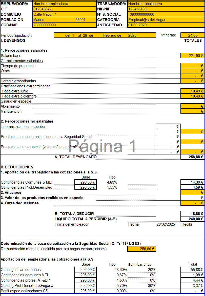 Nómina Empleada de Hogar rellena Nómina de Empleada de Hogar rellena