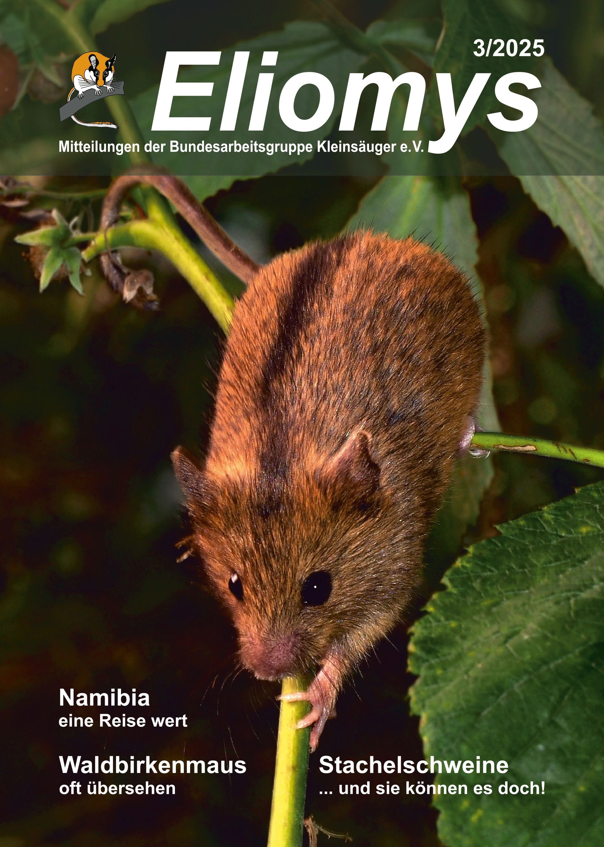 Titelbild Eliomys 2/2025