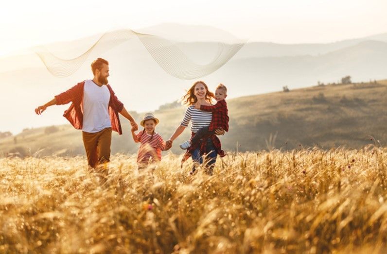 Kraft Schutz Balance