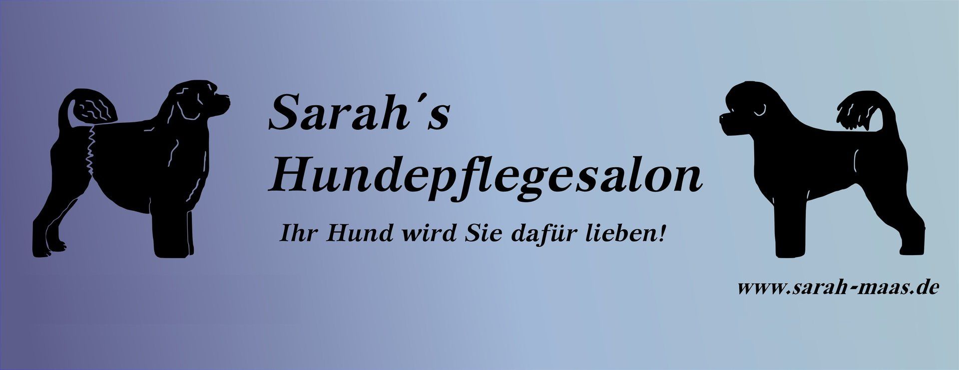 Hundefrisör Wasserhund NRW Hundefrisör für Portugiesische Wasserhunde