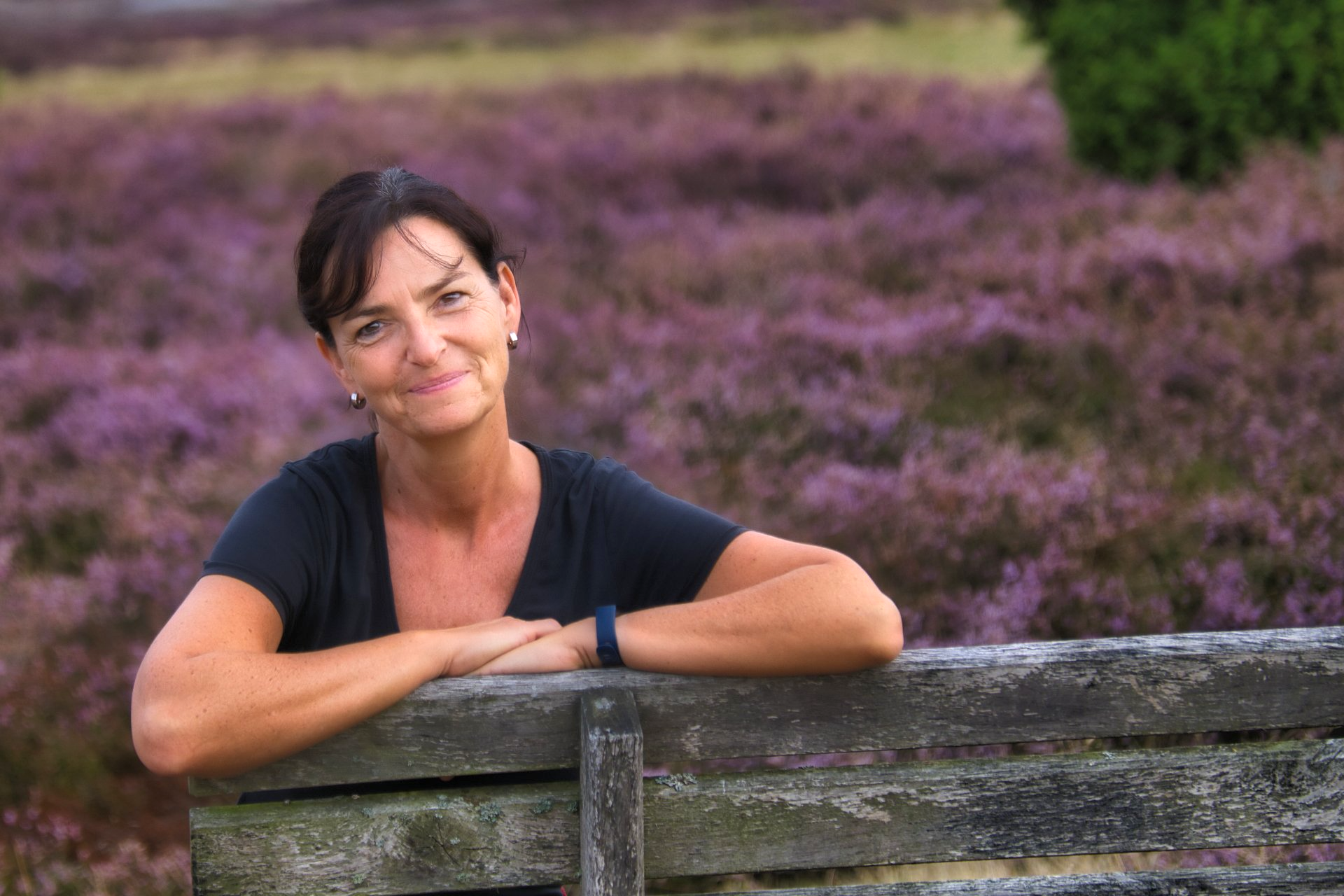 Libelle an Lavendel, Gegenlicht, fliegen, Natur