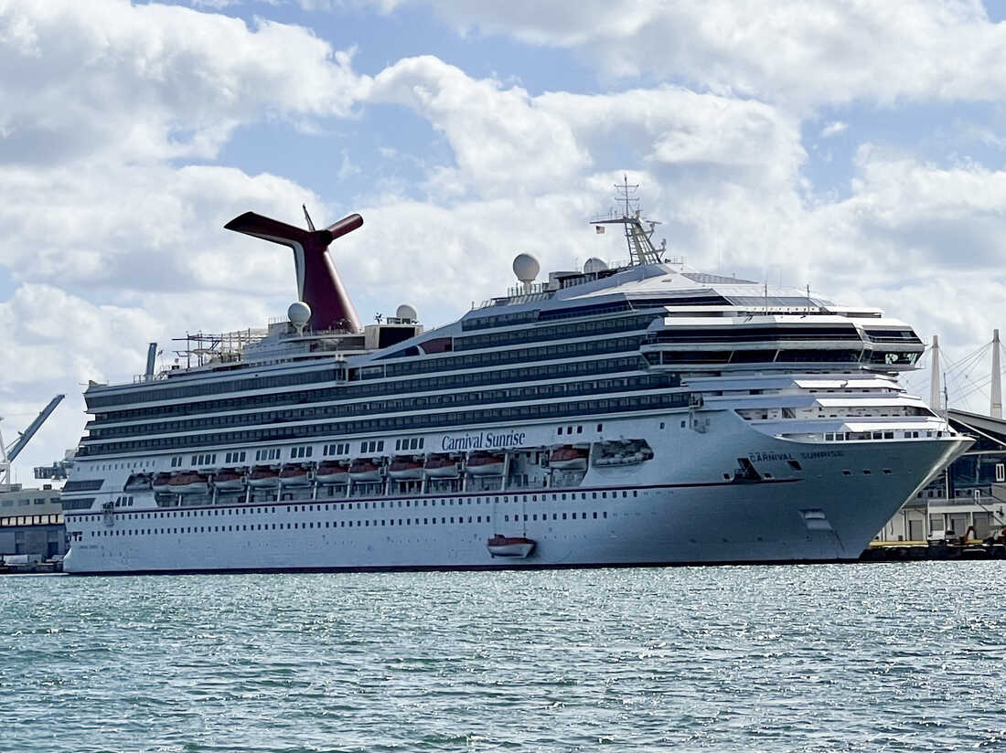 Cruise