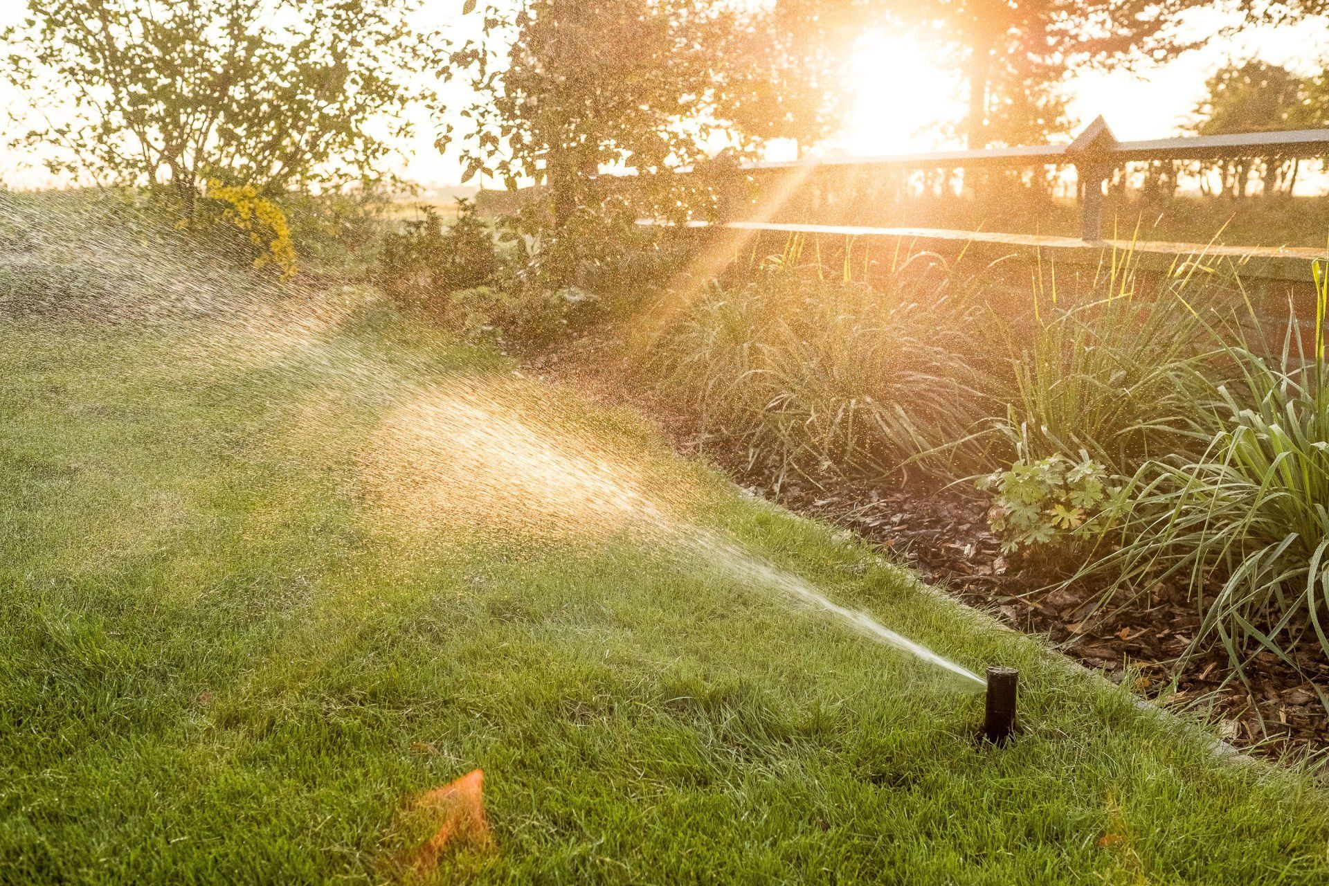 Nachhaltige Gartenbewässerung – Rasen und Beet mit Pflanzen, installiert vom Garten- und Landschaftsbau-Team aus Uedem