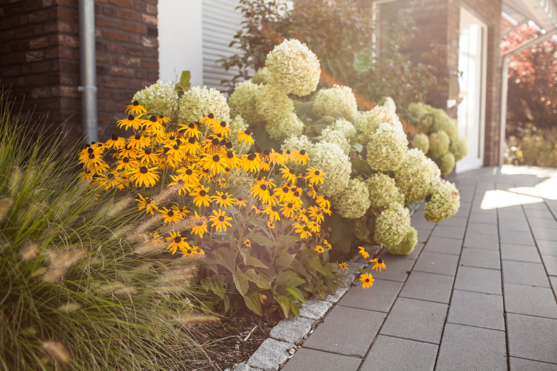 Gartengestaltung mit Stauden und Gräsern – Vorgartenplanung in Uedem durch Fachbetrieb für Gartenbau