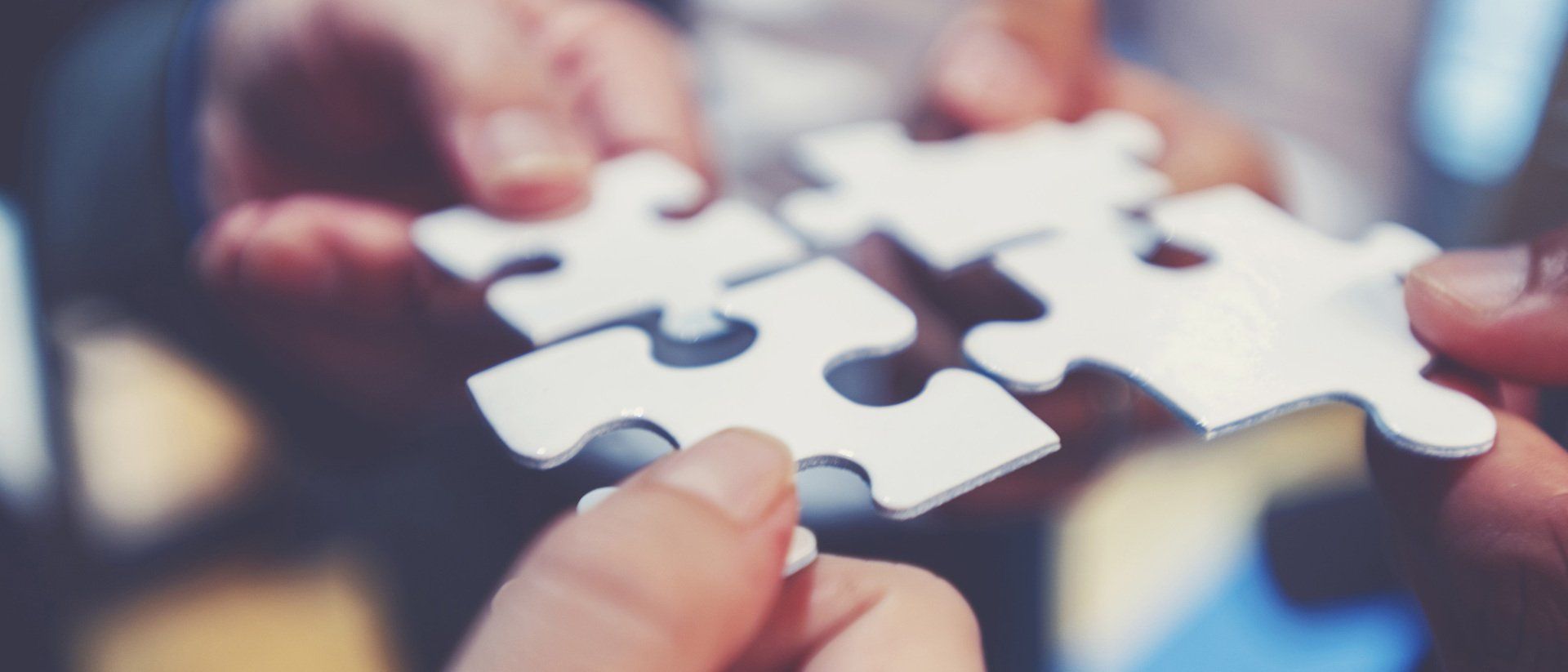 Bild mit Puzzleteilen. Wer passt zu wem?