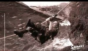 Videotrailer Survival 01 Videotrailer Survival 01