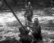 Videotrailer Survival 02 Videotrailer Survival 012