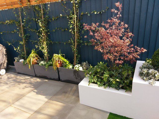 raised beds rendered and paint white light paving grey pots back garden london design