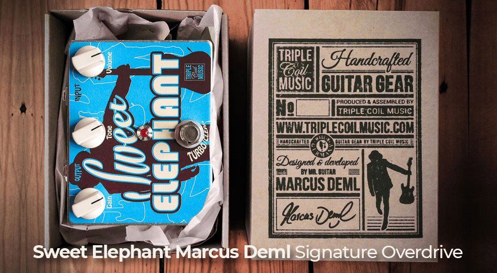 Marcus Deml Sweet Elephant