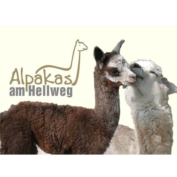 Logo Alpakas am Hellweg