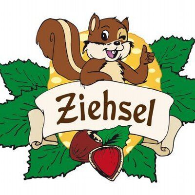 Logo Ziehsel