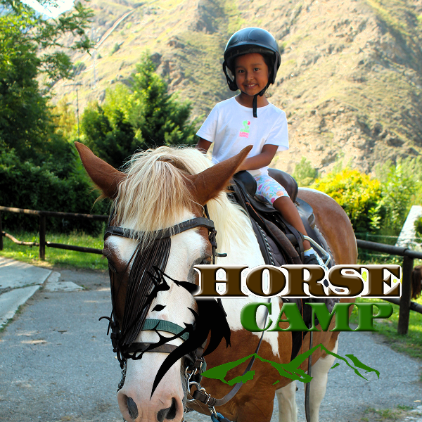 Campamento de hípica