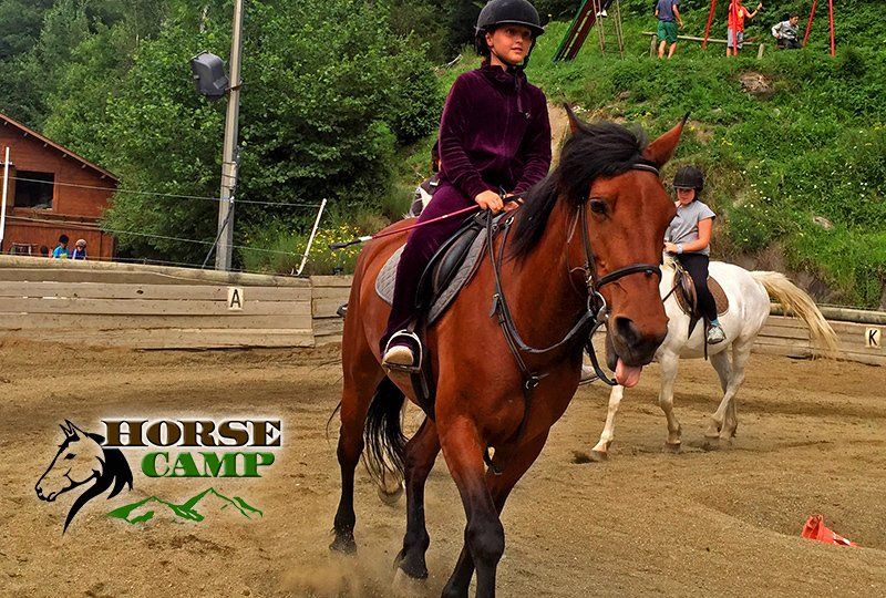 Campamento de hípica