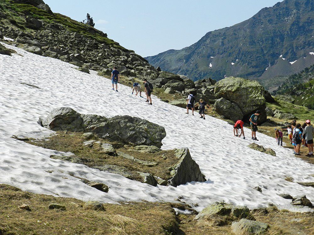 Campamento internacional de scout y supervivencia en inglés