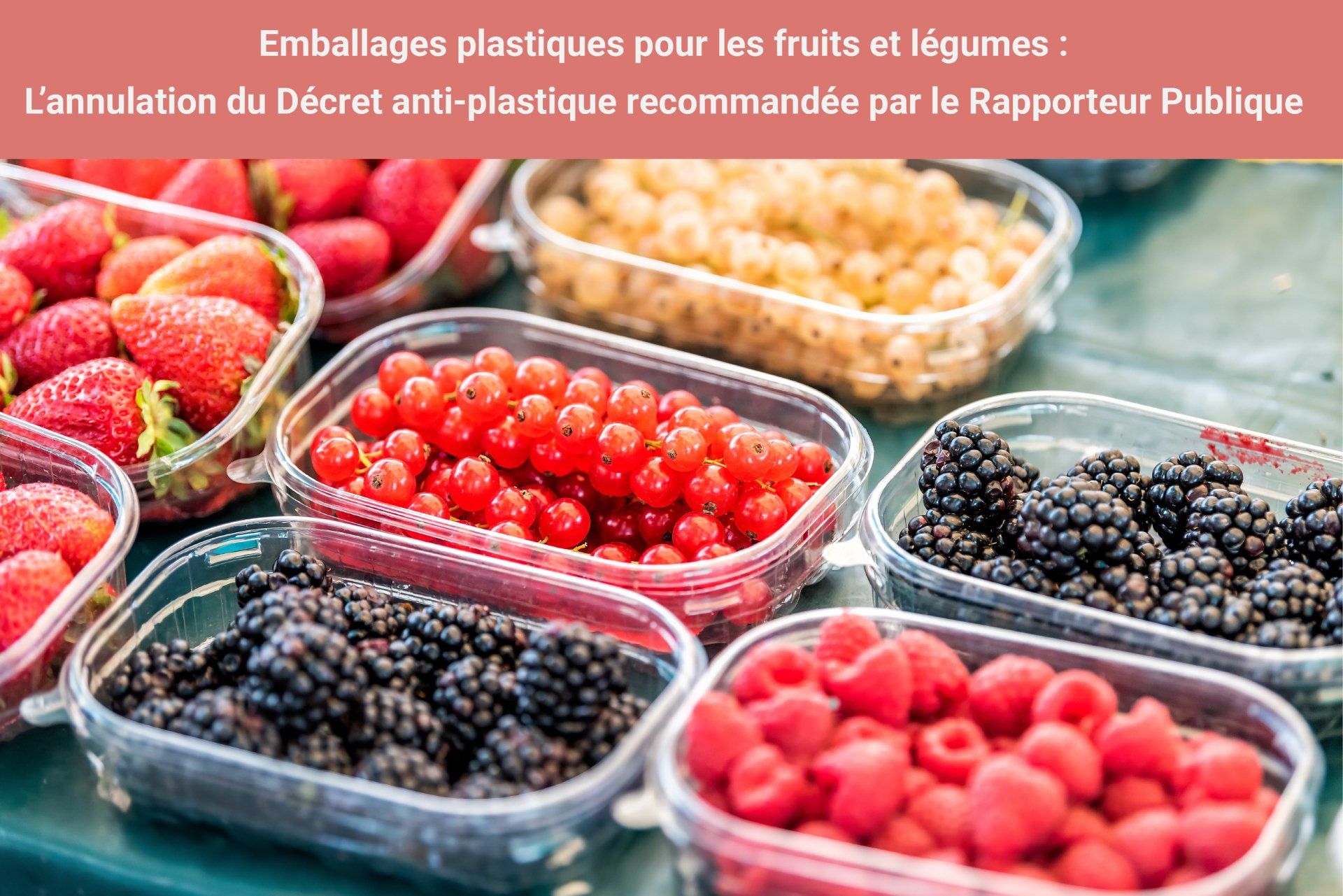emballages-plastiques-fruits-légumes-agec-annulation-décret-rapporteur-public-plastalliance