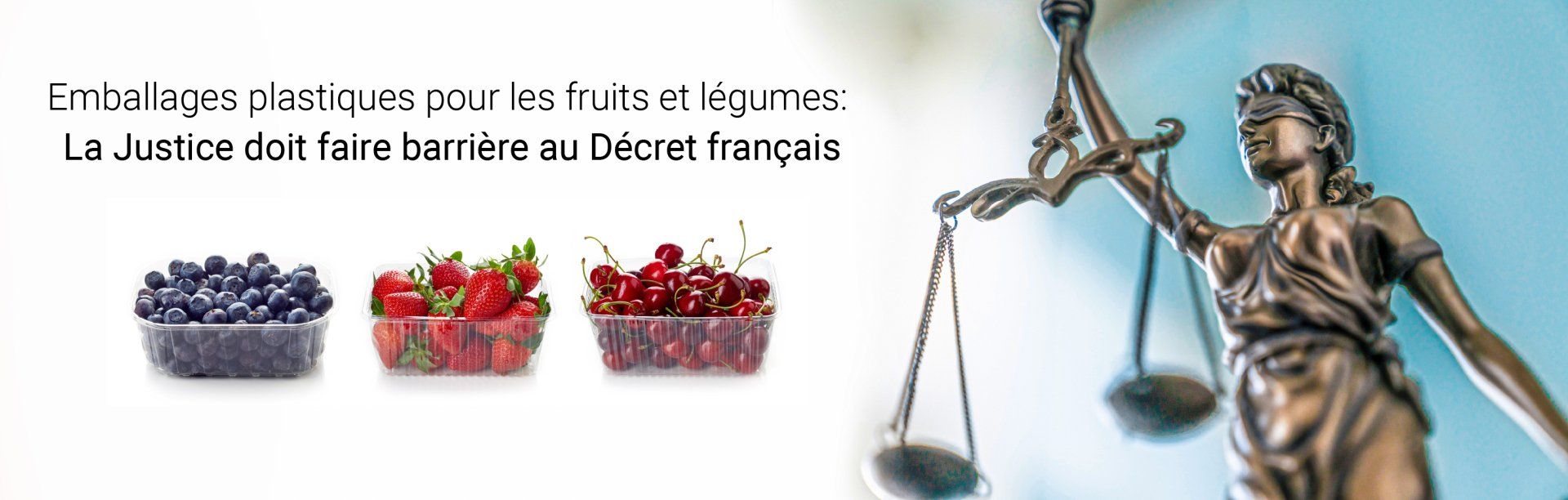 emballages-plastiques-fruits-legumes-decret-francais-plasturgie-plastique-usage-unique-agec