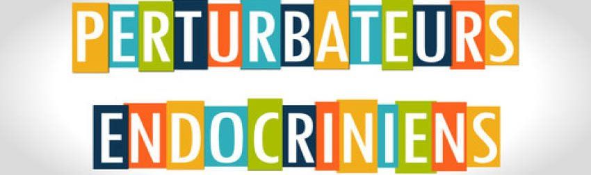 perturbateurs endocriniens
