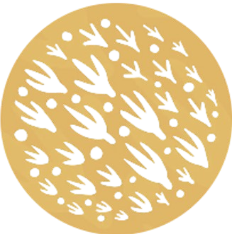 Expert Diagnosis icon