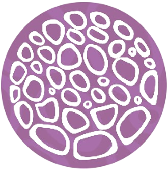 Vast Experience icon