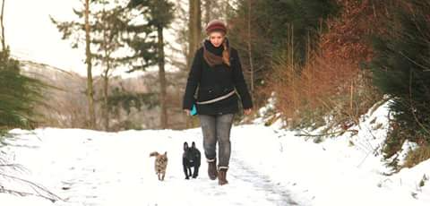 Hund und Mensch in Komunikation