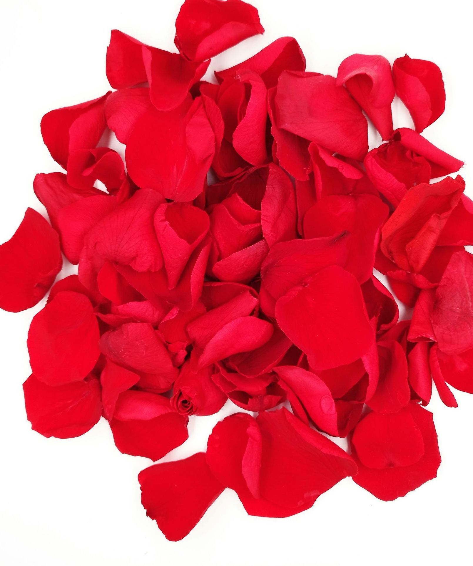 Rosen te Amo rote Rosenblätter konservierte Blumen, konservierte Rosenblüten, infinity Rosenblüten, haltbare Rosen, infinity Rosen, Valentinstag Geschenk