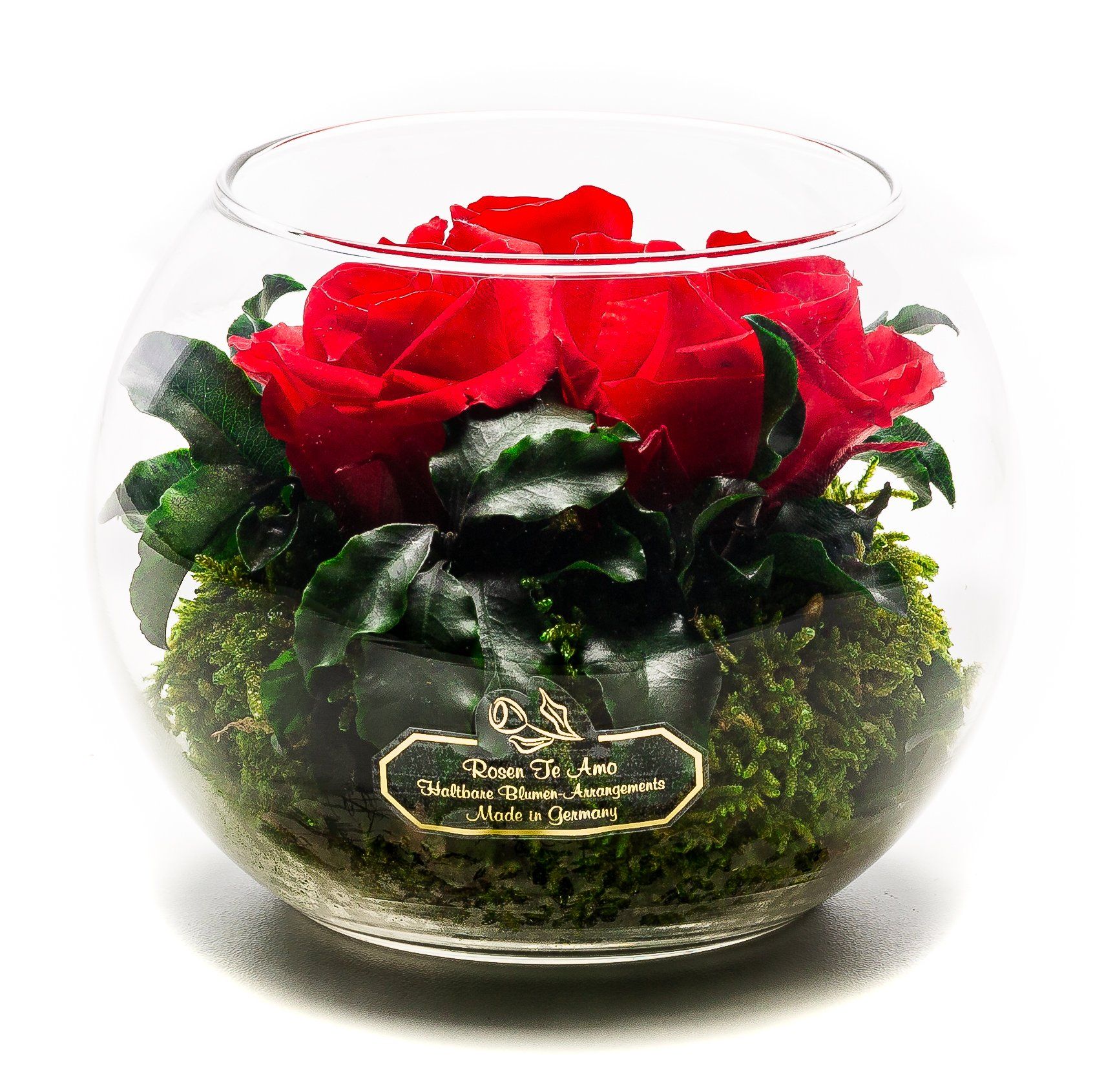 drei-rote-Rosen | rote-Rosen-im-Glasvase | pflanze-Mooß | echte-Blumengestecke