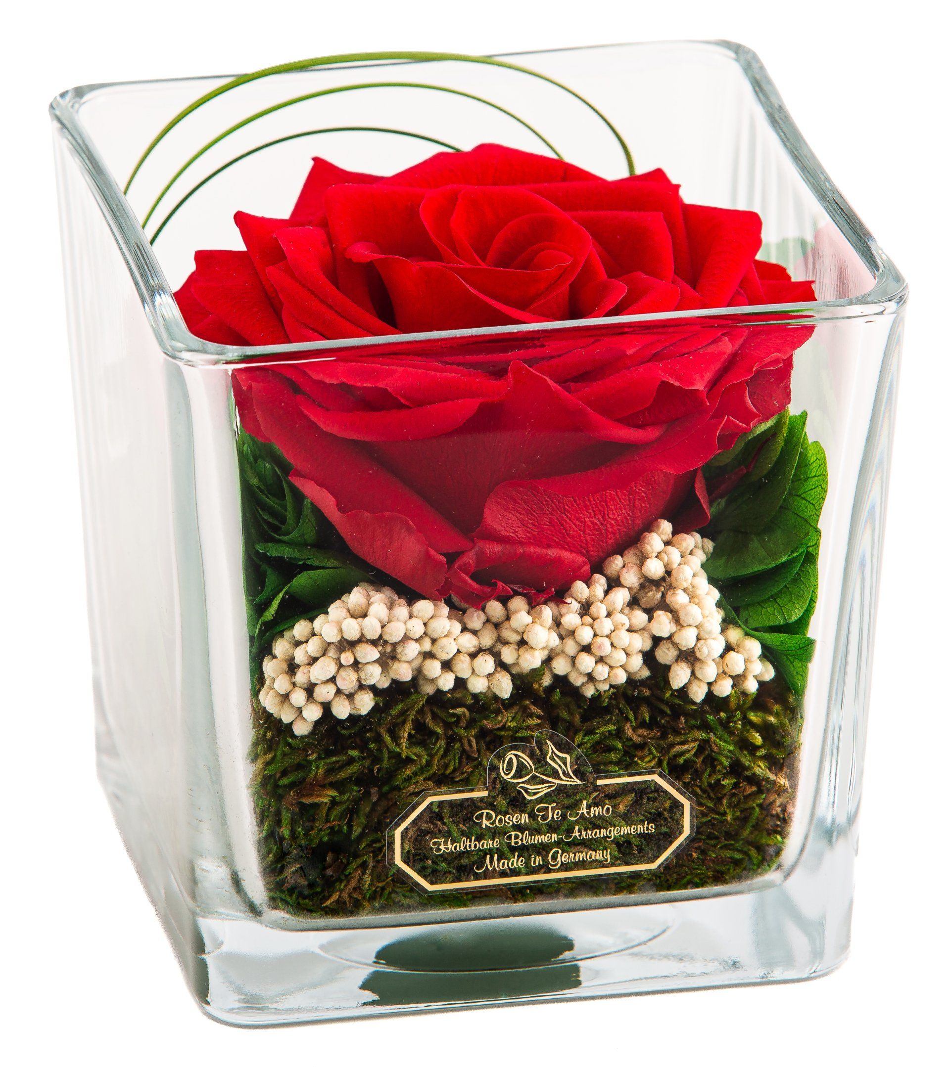 Rosen te Amo -GSF-RPXRE-001 haltbare Blumen im Glas, Rosengestecke im Würfel Glas-Vase
