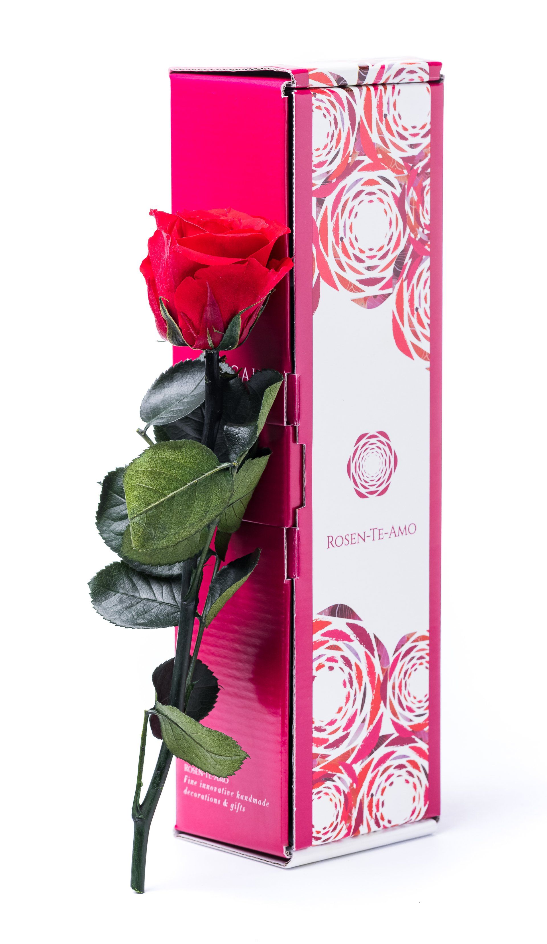 echte konservierte Rosen rot, infinity Geschenkbox