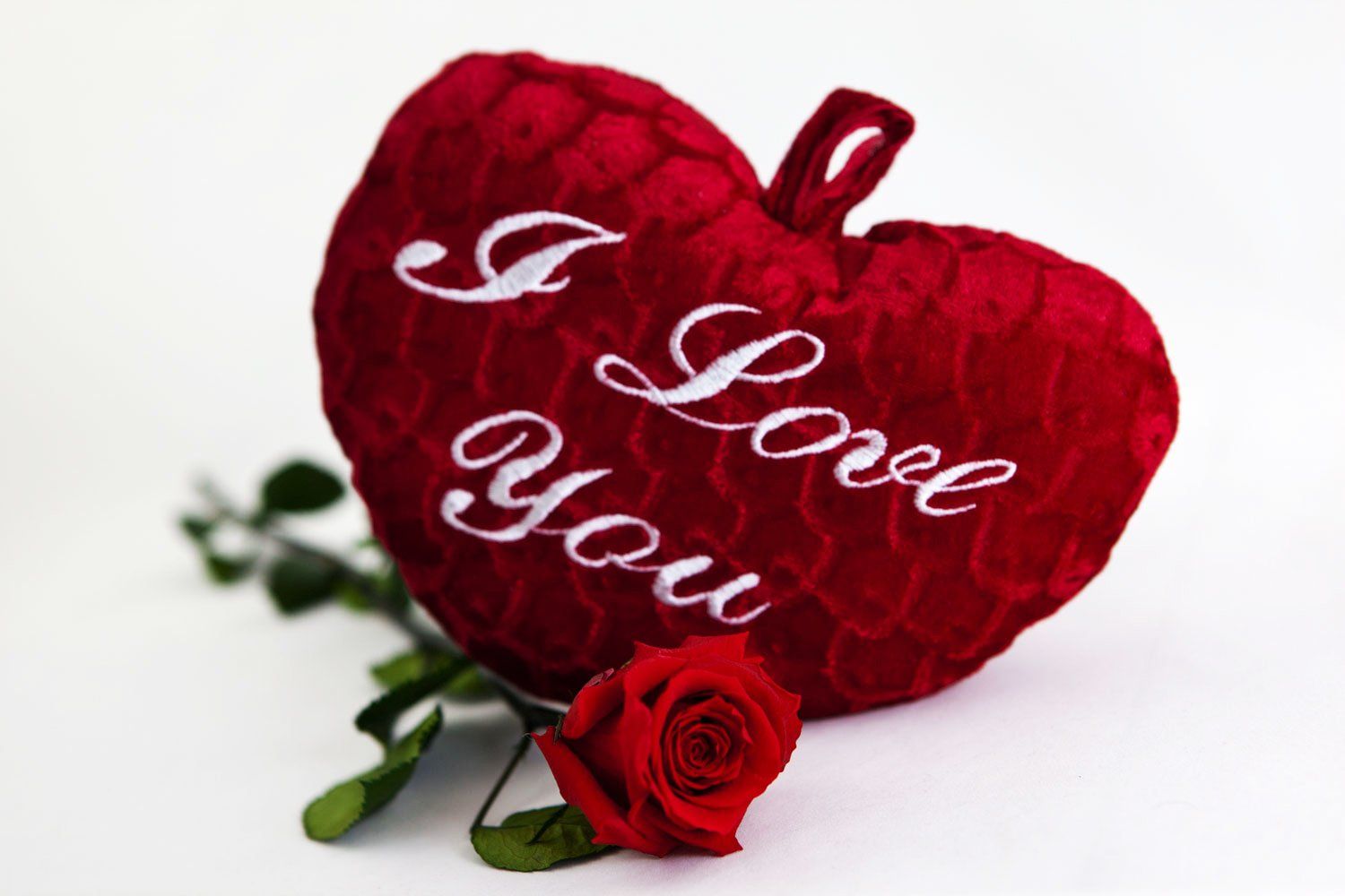 echte konservierte Rosen rot, infinity Geschenkbox