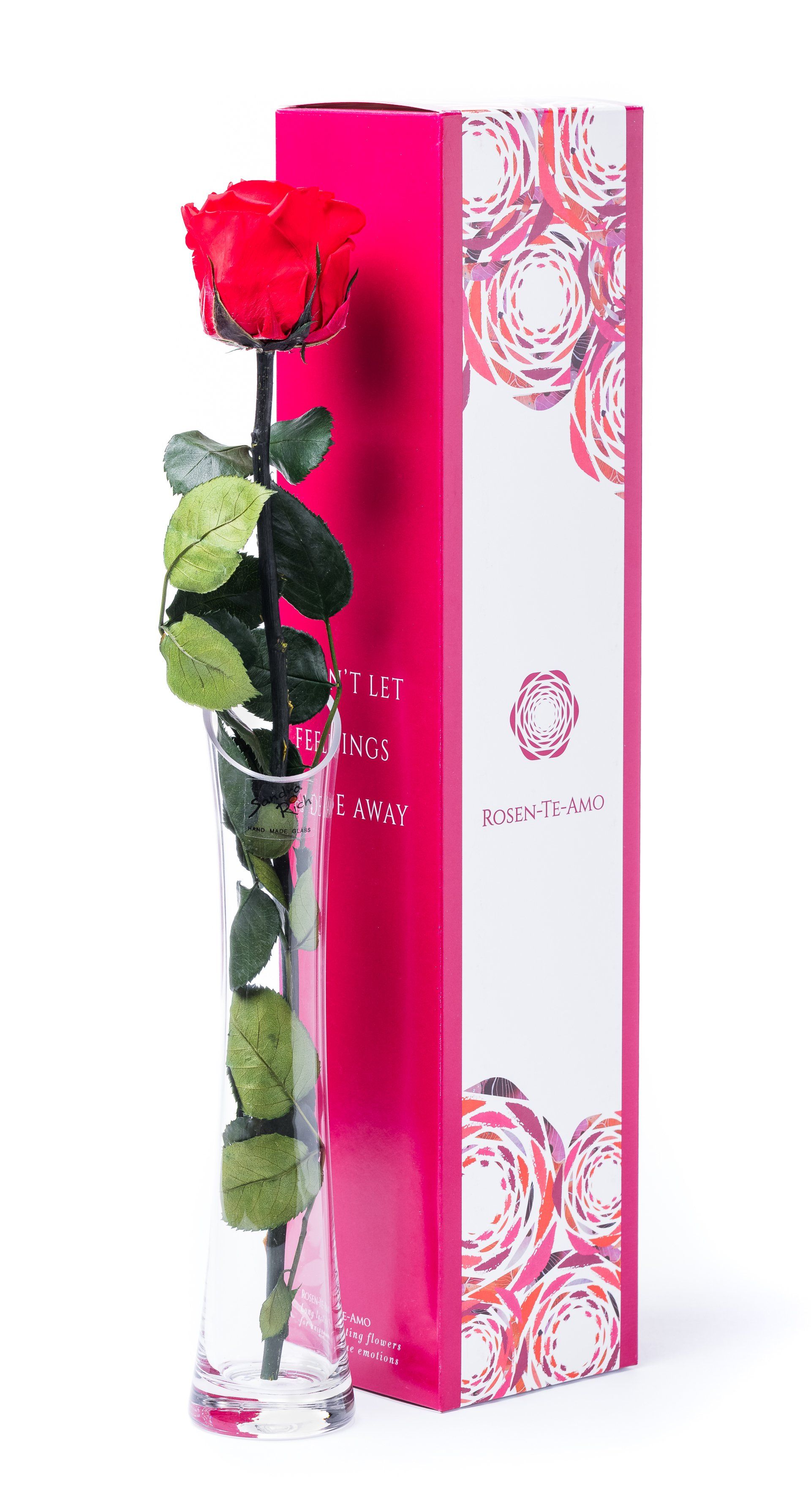echte Rose als liebes Geschenk von Rosen-Te-Amo