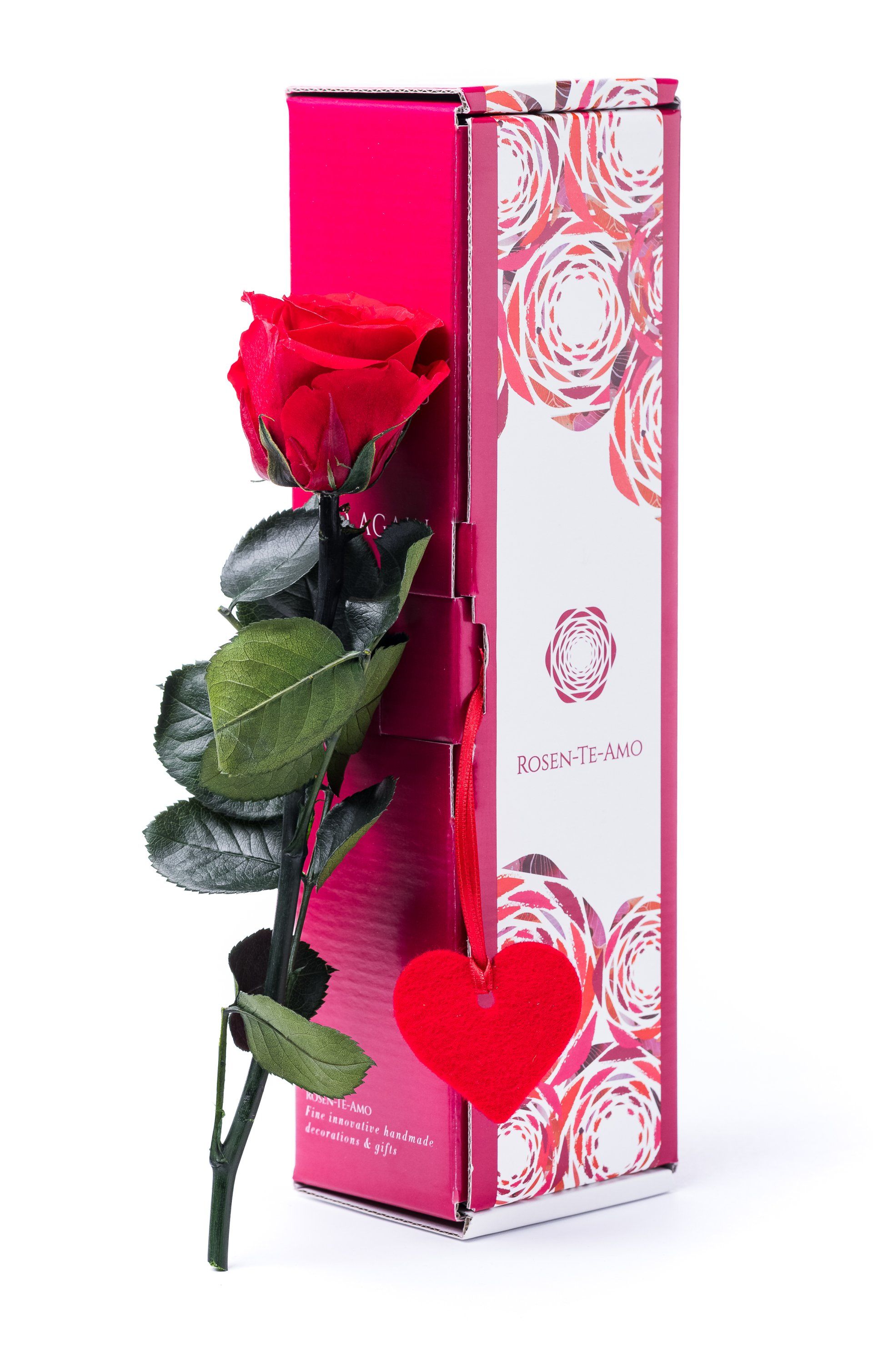 echte konservierte Rosen rot, infinity Geschenkbox