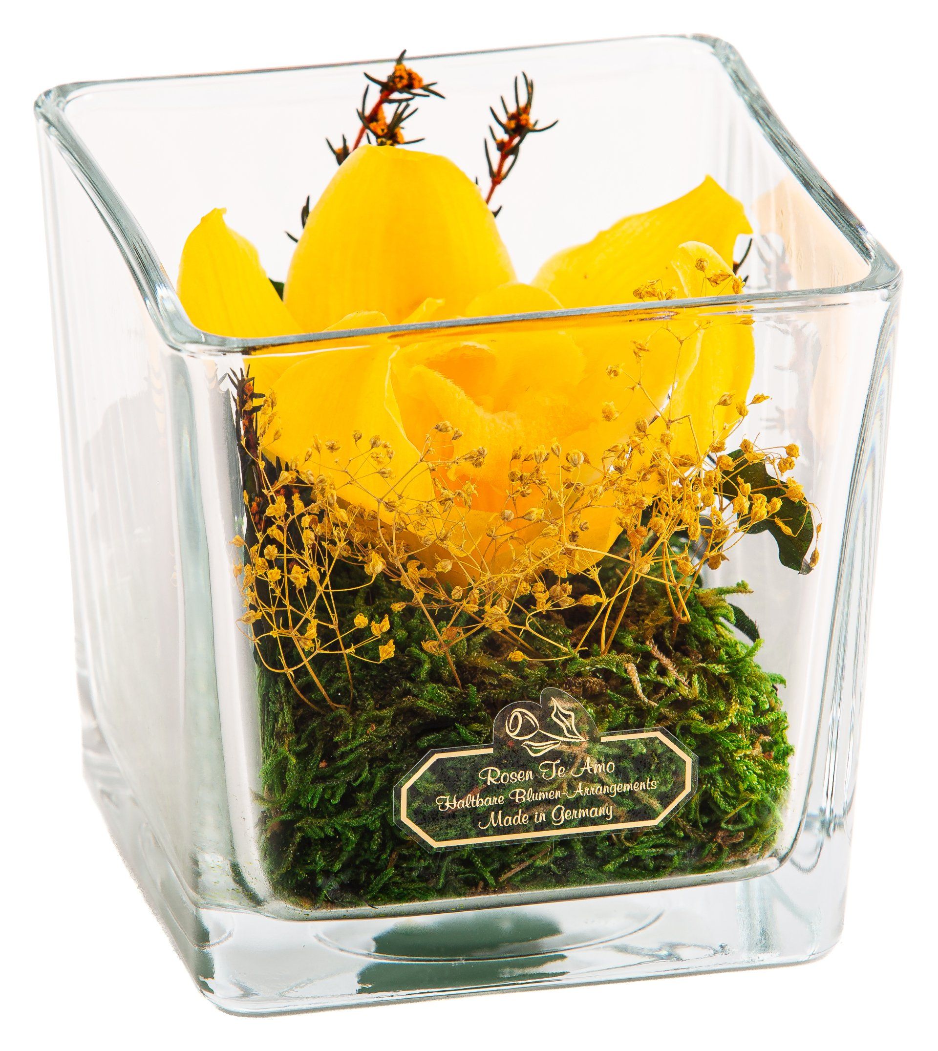 Rosen te Amo GSF-OSTYW-001 Infinity Orchidee, haltbare Blumen im Glas, Rosengestecke im Würfel Glas-Vase