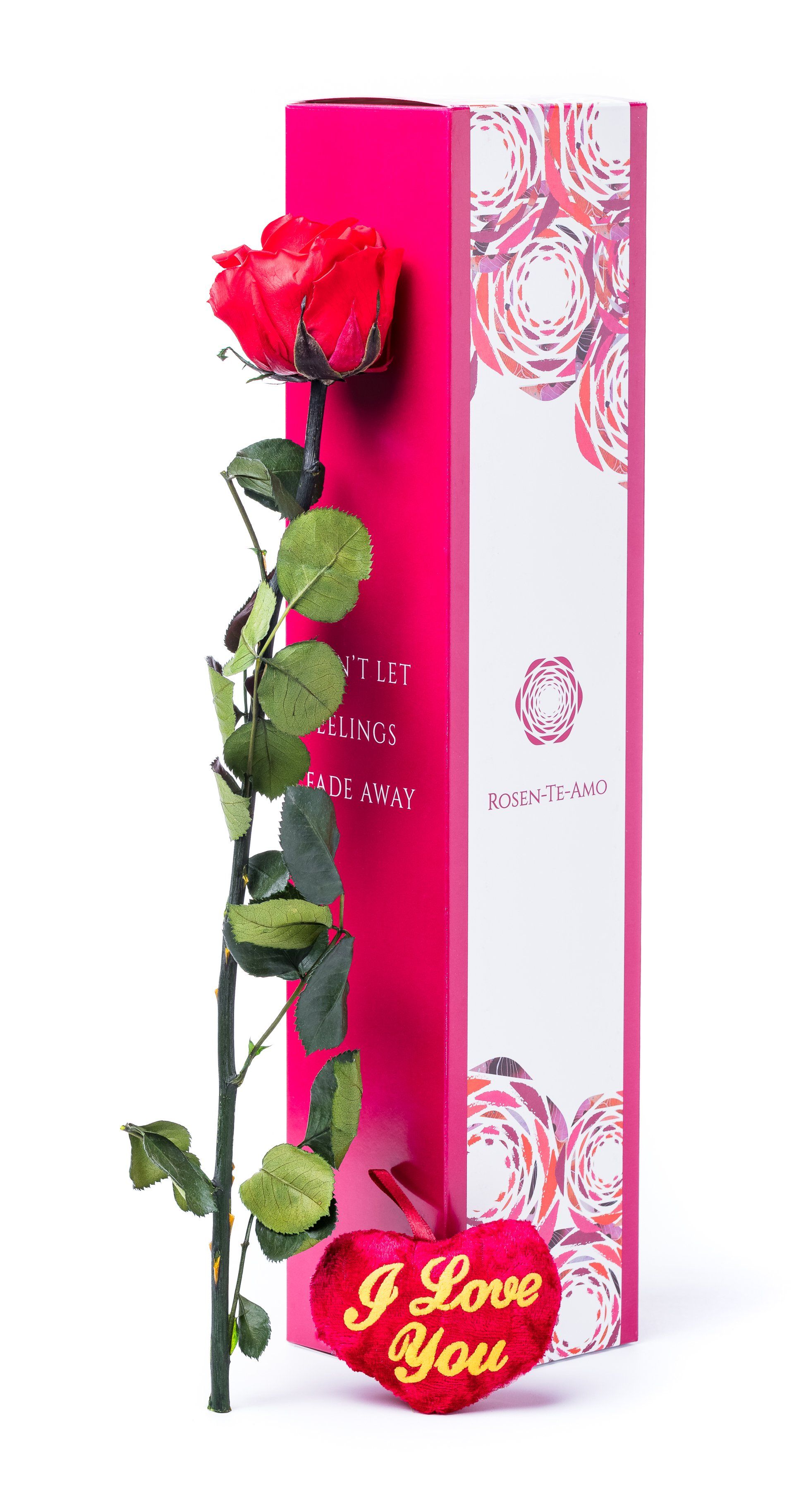 echte konservierte Rosen rot, infinity Geschenkbox