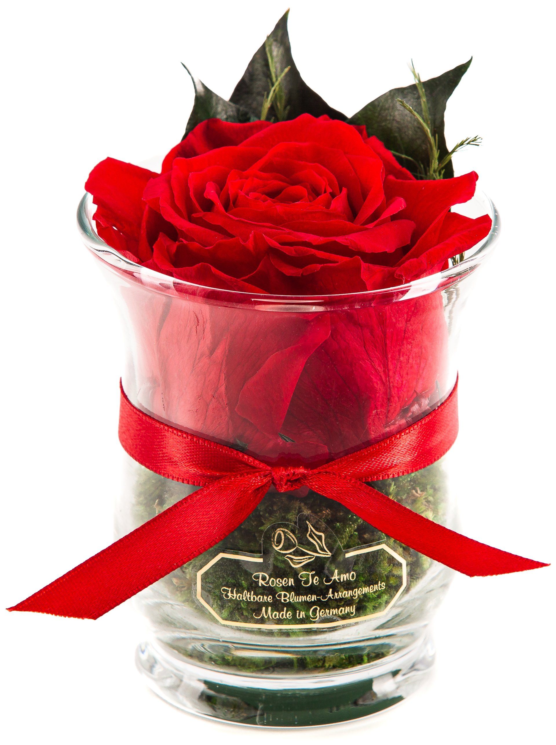 Infinity Rosen Geschenk rote Rose