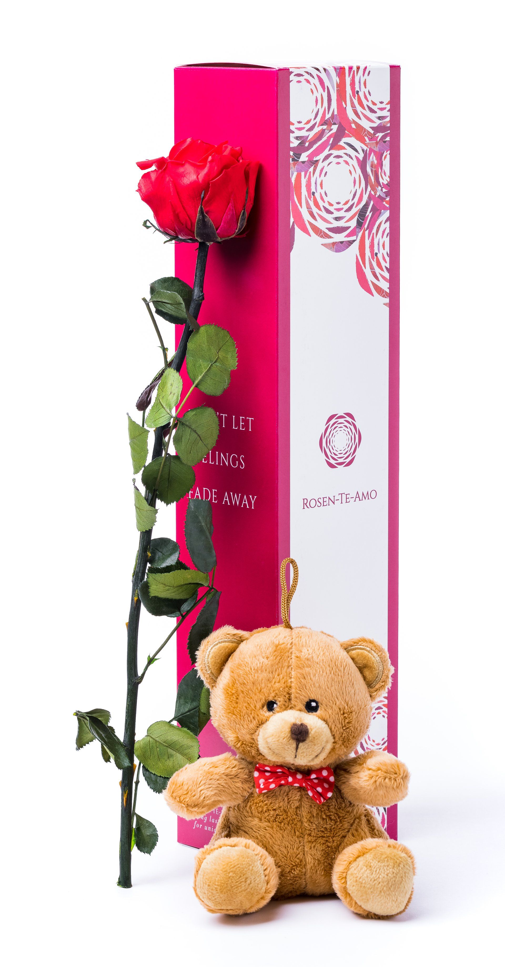 echte konservierte Rosen rot, infinity Geschenkbox + plusch
