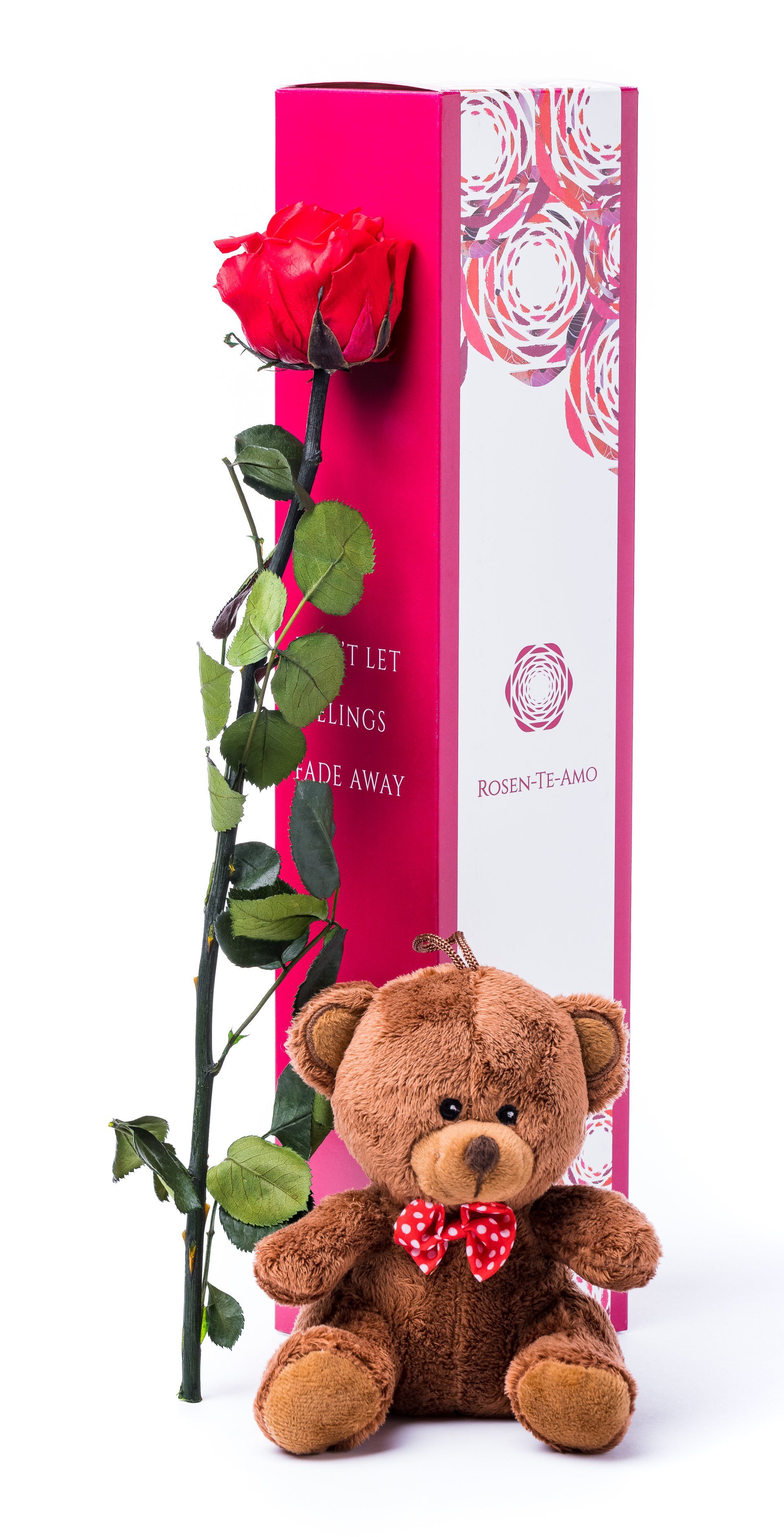 echte konservierte Rosen rot, infinity Geschenkbox + plusch