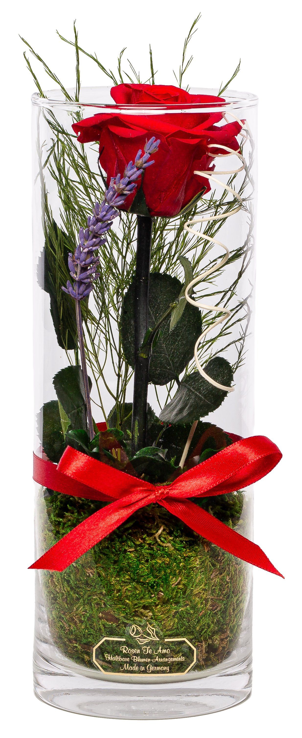 echte konservierte Rose mit Stiel im Glas als Geschenk