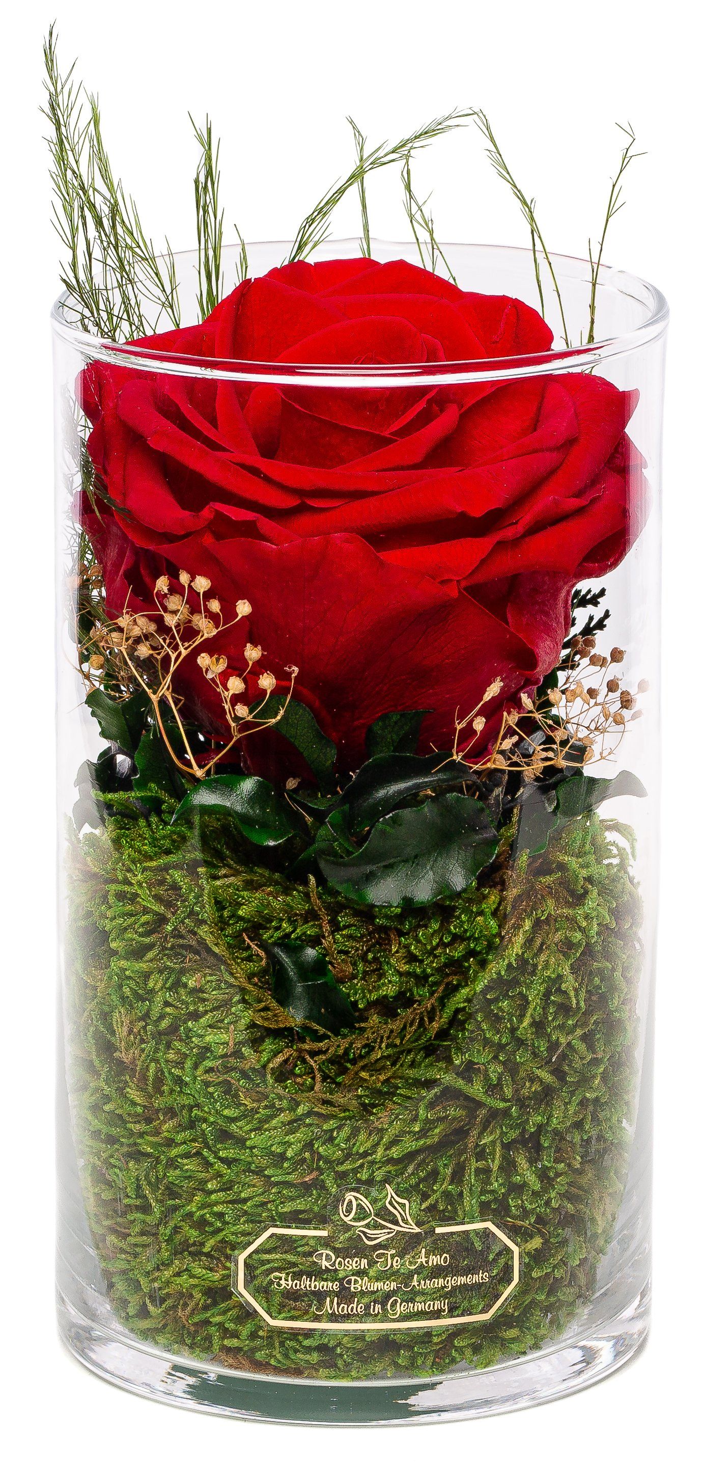 INFINITY ROSE IM GLAS; ECHTE BLUMEN