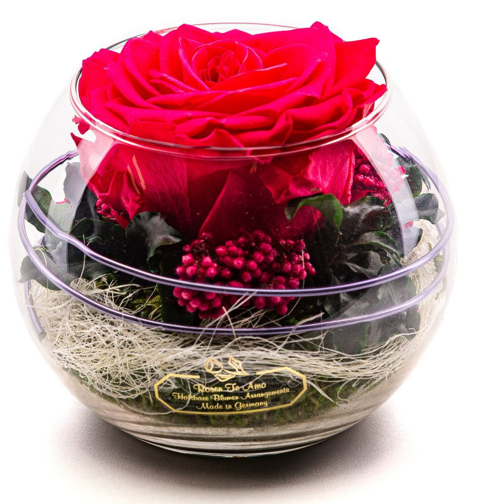 Echte Rosengeschenk | Rote Farbe | als Weihnachtsgeschenk