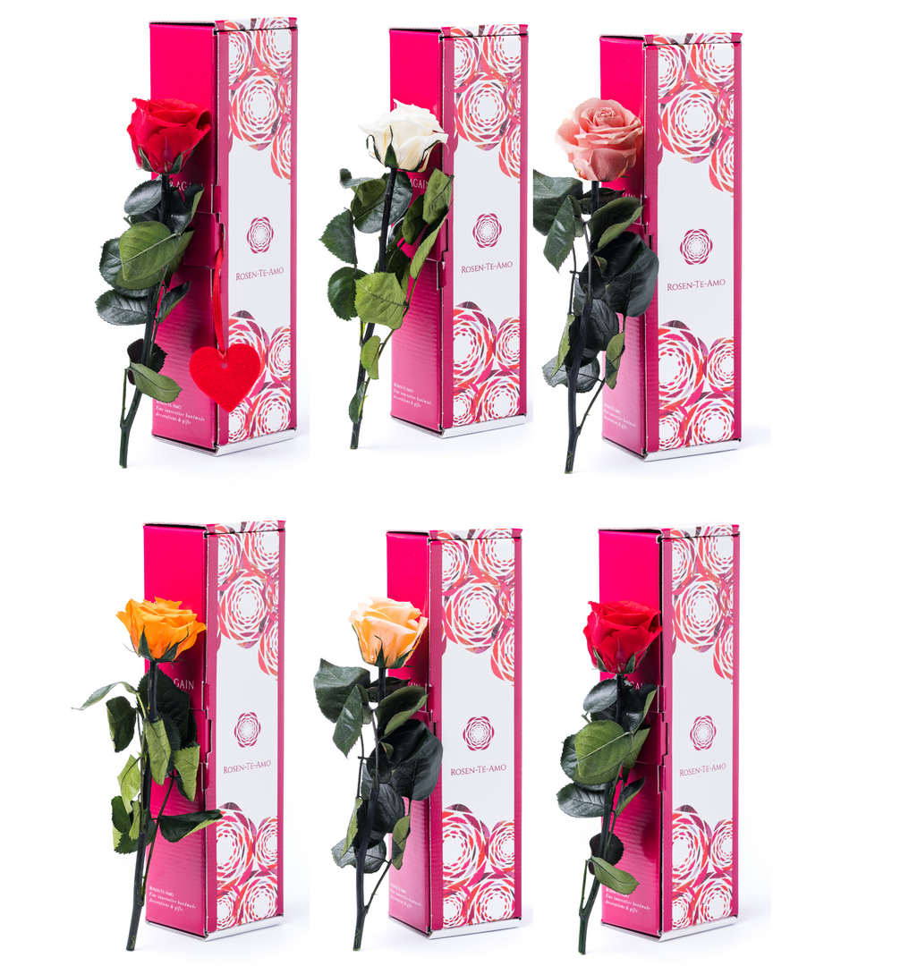 Rosen te Amo rote Rosenblätter konservierte Blumen, konservierte Rosenblüten, infinity Rosenblüten, haltbare Rosen, infinity Rosen, Valentinstag Geschenk