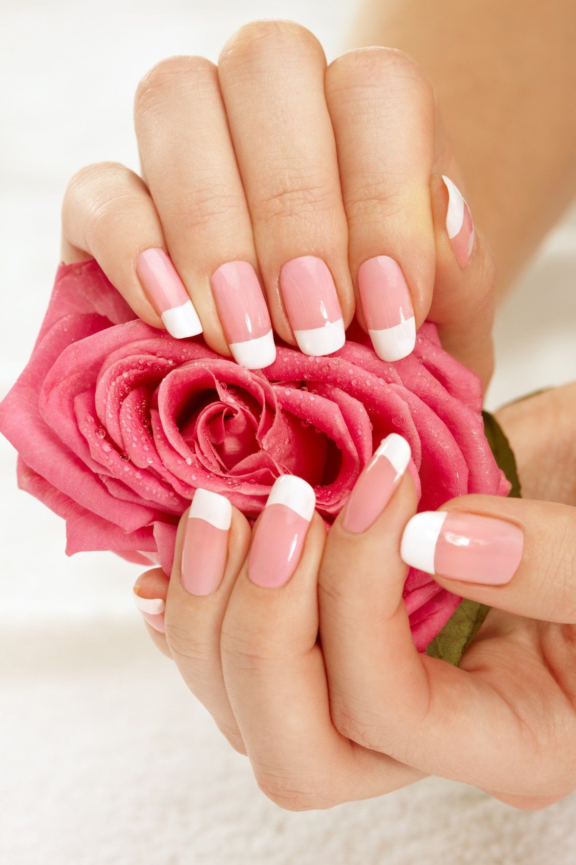 Rosen te Amo GTF-RMIRE-001 triple rote Rose Rosen-Te-Amo, Rosa Rosenköpf, infinity Rosa Rose, duftende Rosengeschenke
