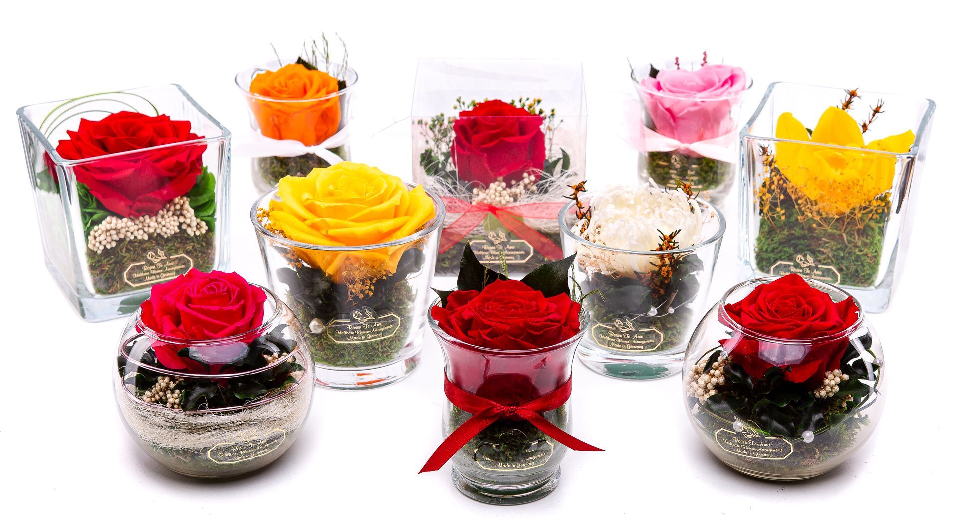 Rosen te Amo - konservierte BlumenArrangements konservierte Rosen im Glas