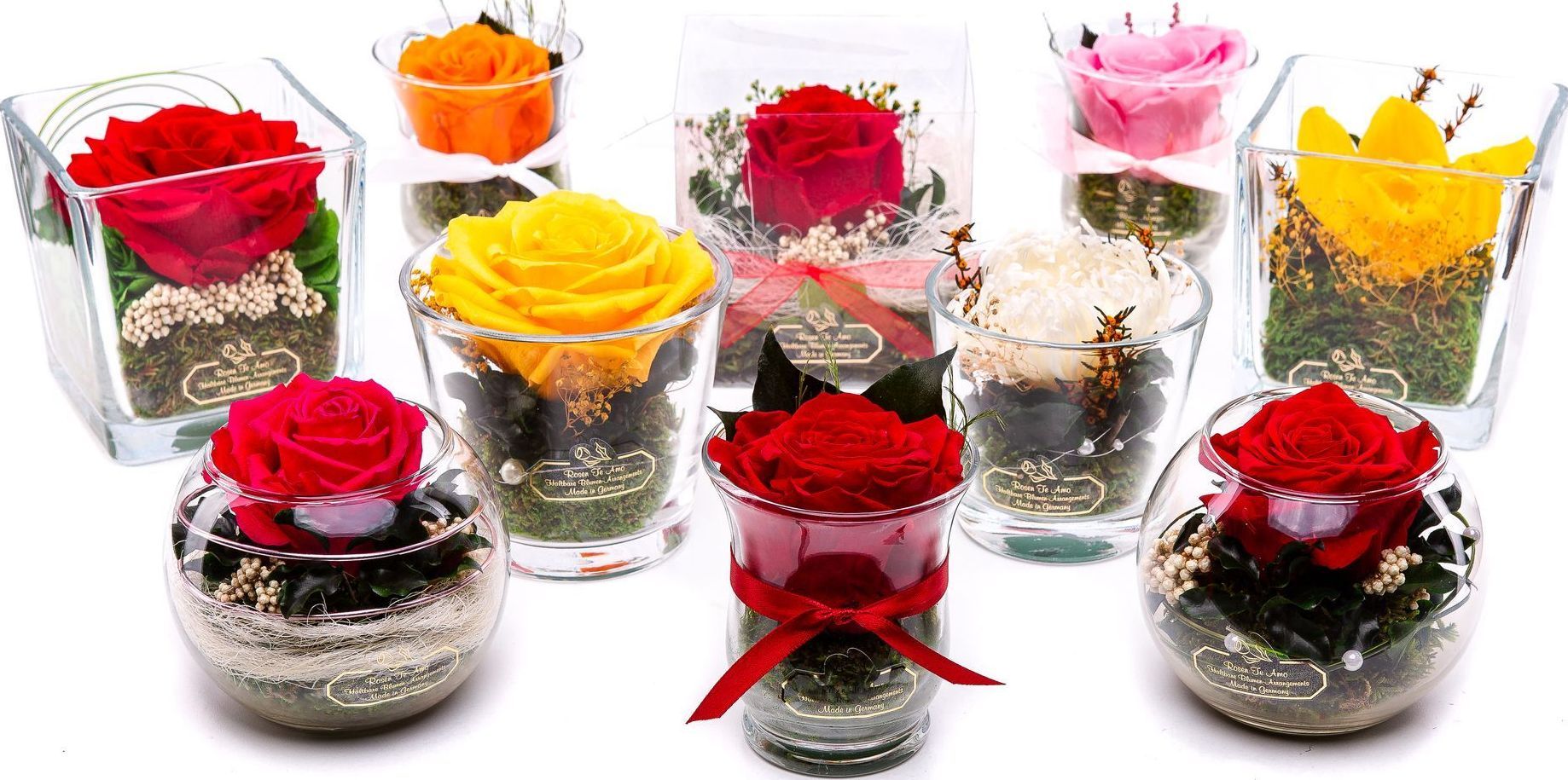 Rosen te Amo - Echte konservierte Blumenarrangement echte konservierte Rosen im Glas -