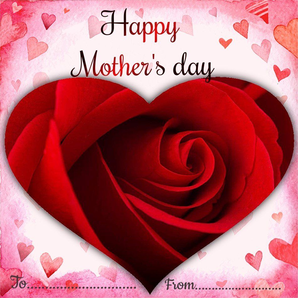 Rosen te Amo GTF-RMIRE-001 triple rote Rose echte rote Rose als Muttertagsgeschenk von Rosen-Te-Amo